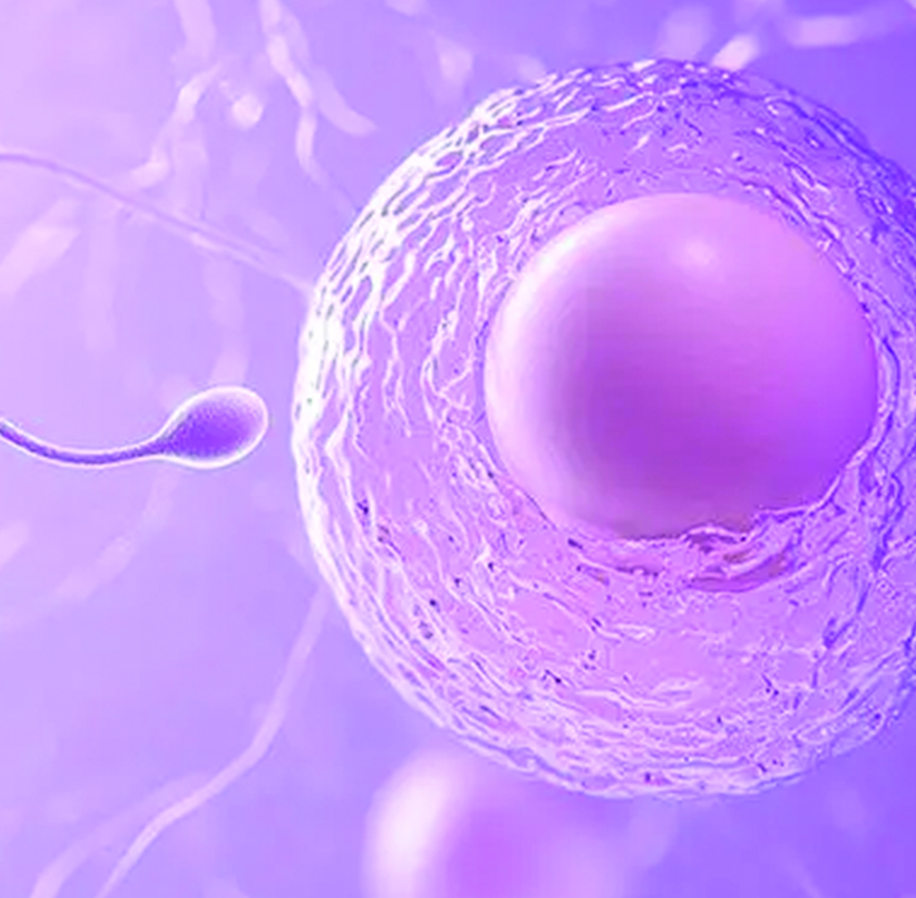 Fertility clinic in Chennai