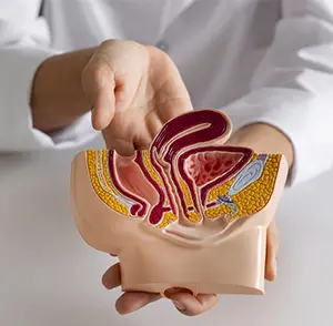 Anorectal & Urological Procedures